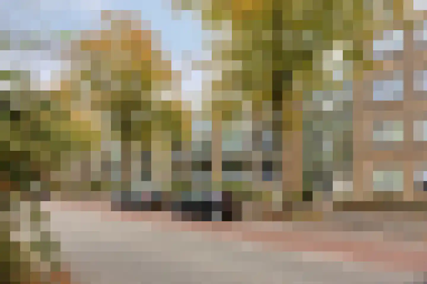 Burggravenlaan 154 Leiden thumbnail 30
