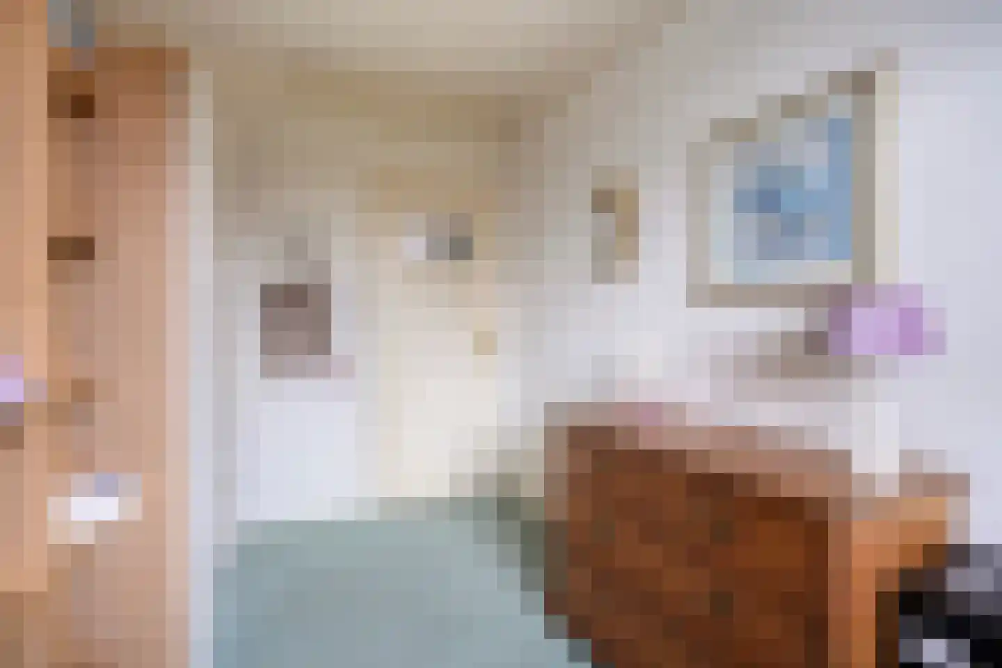 Burggravenlaan 192 Leiden thumbnail 23