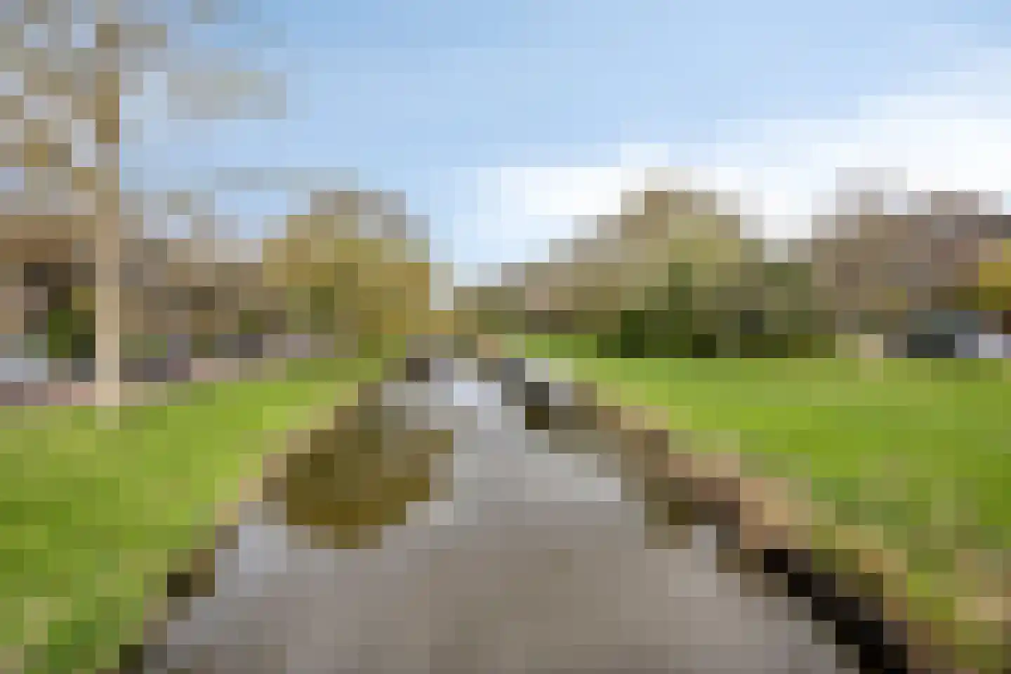 Burggravenlaan 192 Leiden thumbnail 32