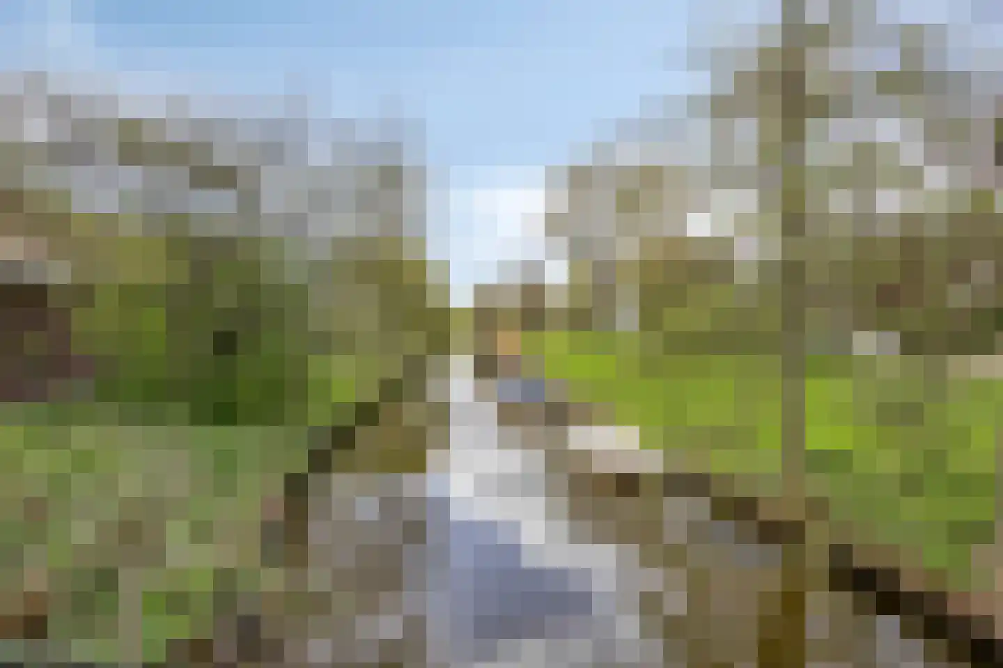 Burggravenlaan 192 Leiden thumbnail 33