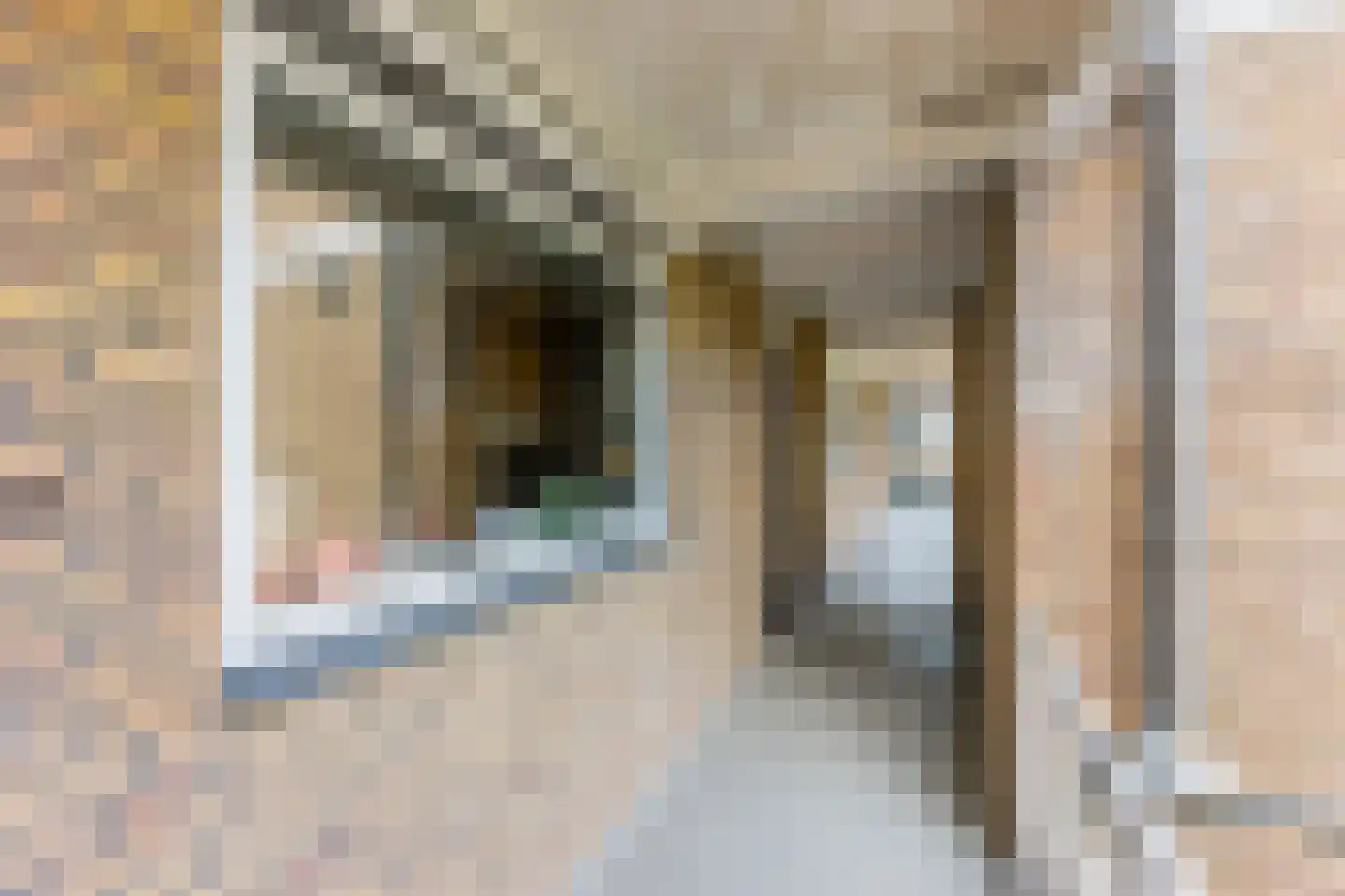 Burggravenlaan 21 Katwijk thumbnail 9