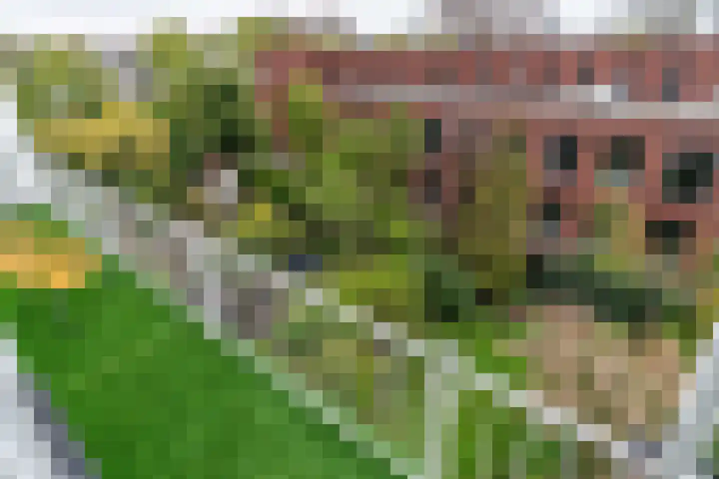 Burggravenlaan 210 Leiden thumbnail 13