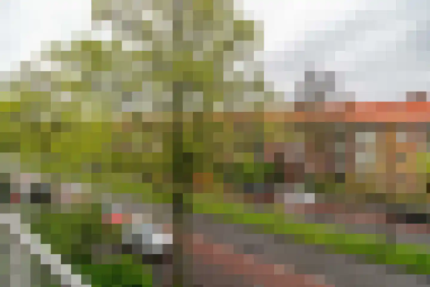 Burggravenlaan 210 Leiden thumbnail 25