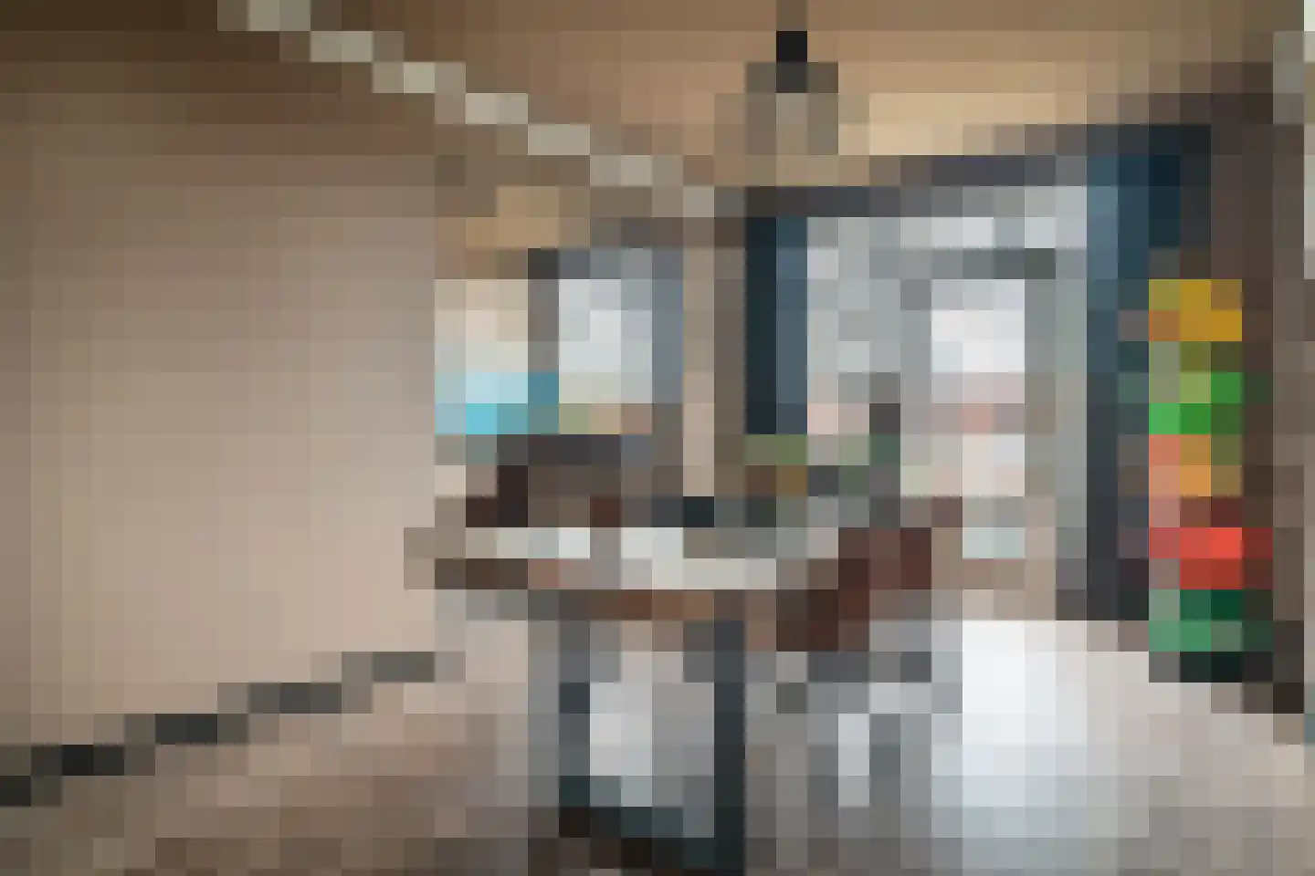Burggravenlaan 210 Leiden thumbnail 6