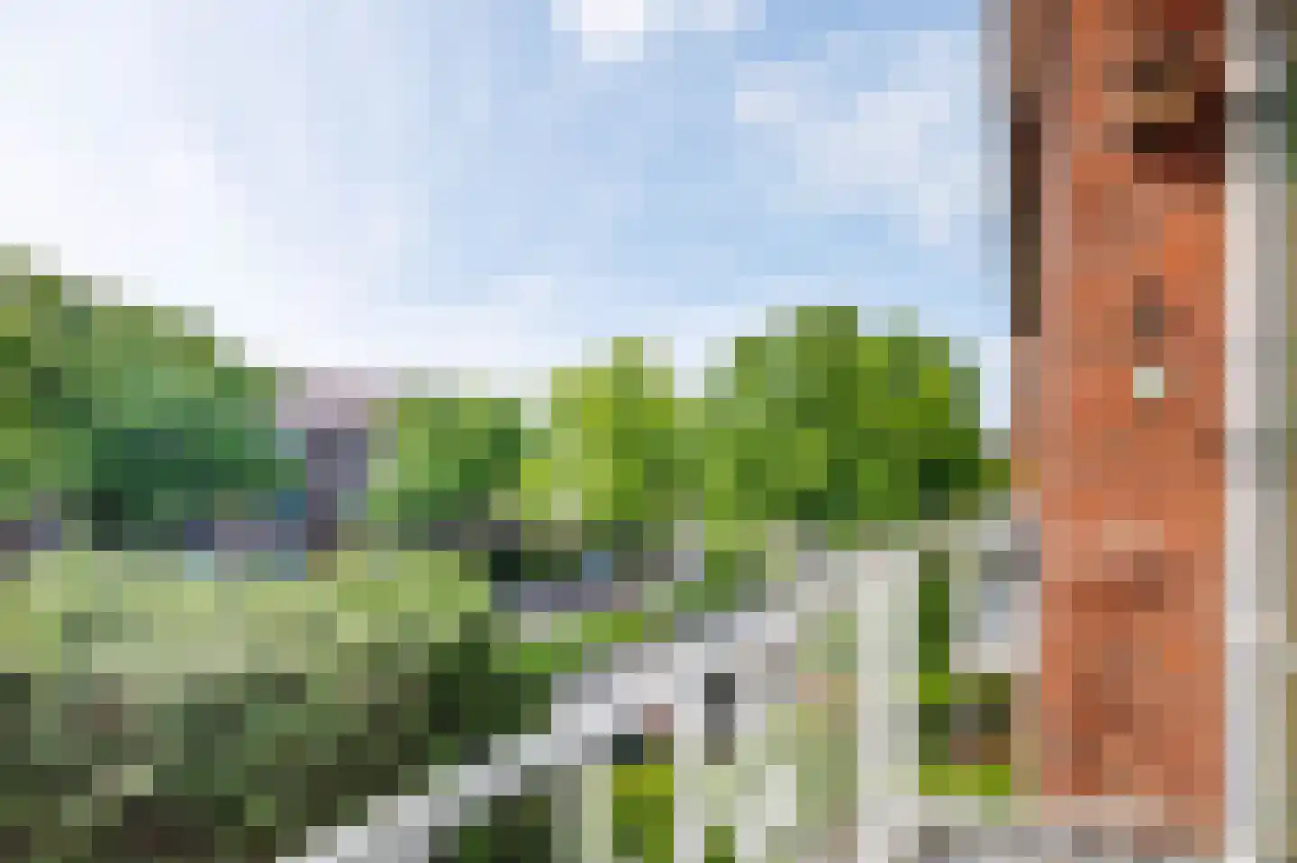 Burggravenlaan 215 Leiden thumbnail 16
