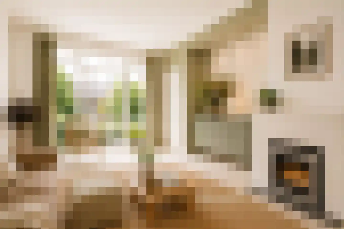 Burggravenlaan 215 Leiden thumbnail 4