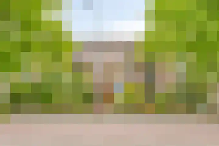Burggravenlaan 222 en Leiden