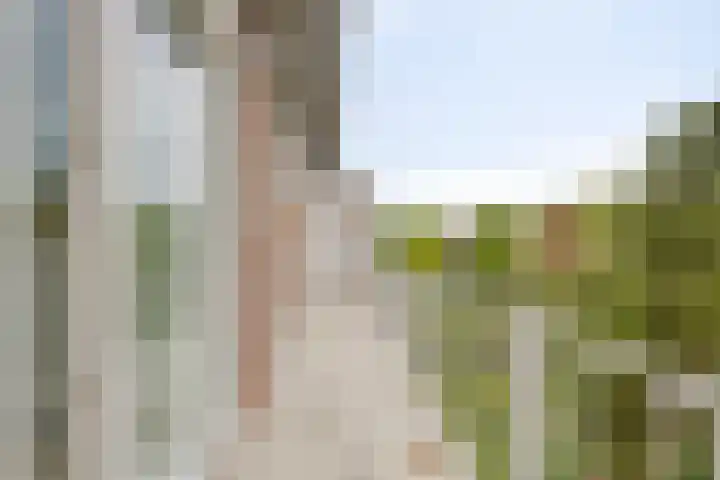 Burggravenlaan 222 Leiden thumbnail 17