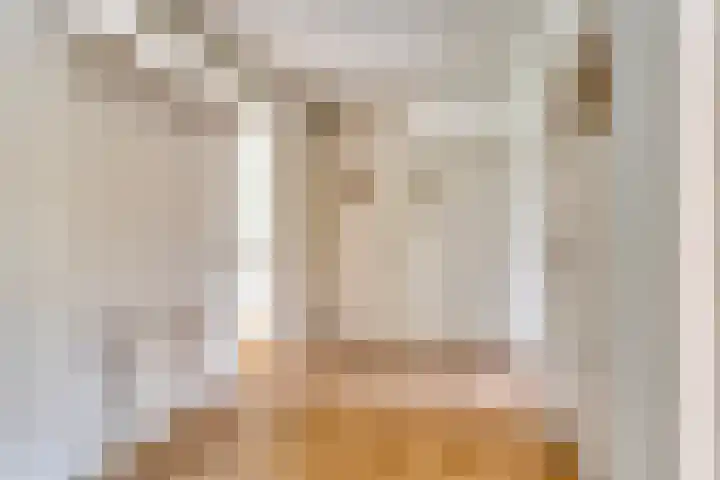 Burggravenlaan 222 Leiden thumbnail 5