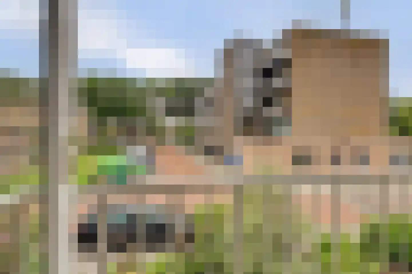 Burggravenlaan 3 Katwijk thumbnail 36