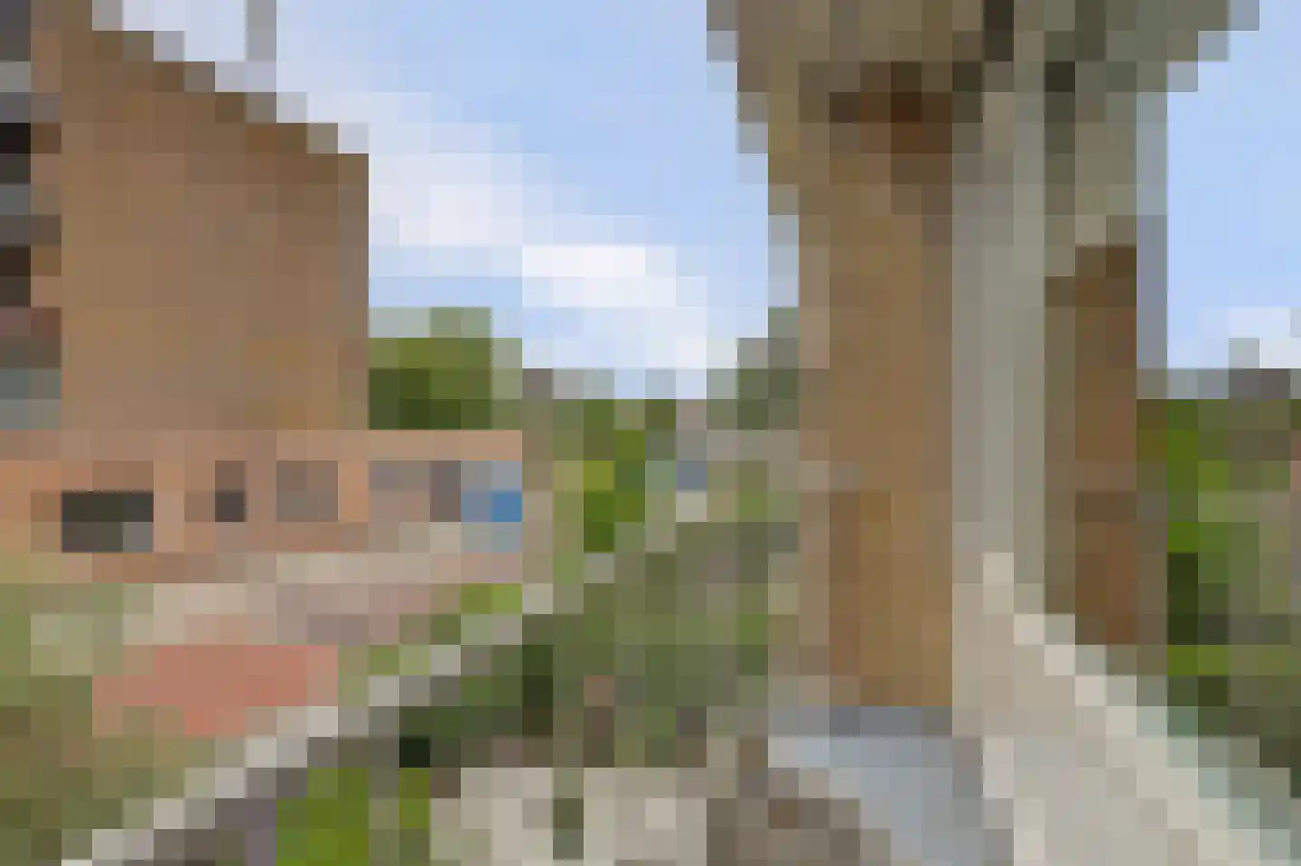 Burggravenlaan 3 Katwijk thumbnail 37