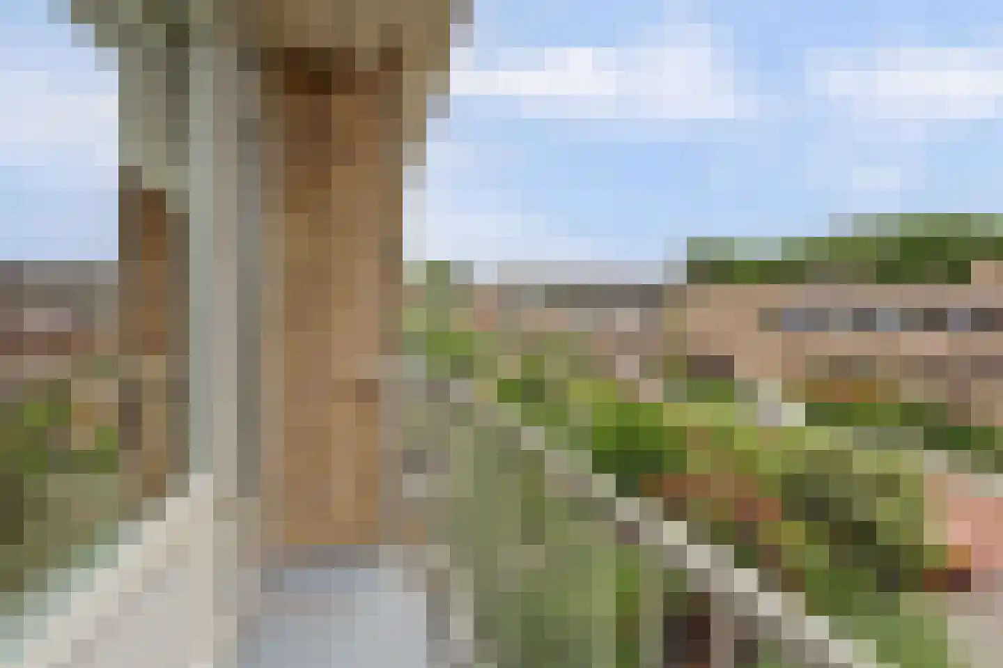 Burggravenlaan 3 Katwijk thumbnail 38