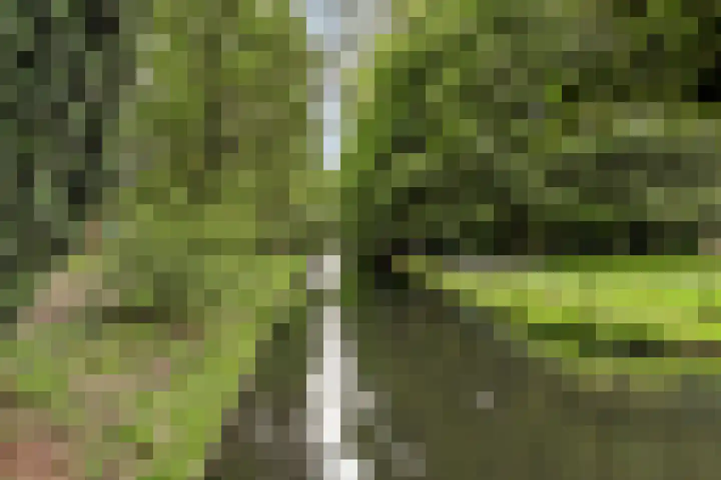 Burggravenlaan 3 Katwijk thumbnail 61
