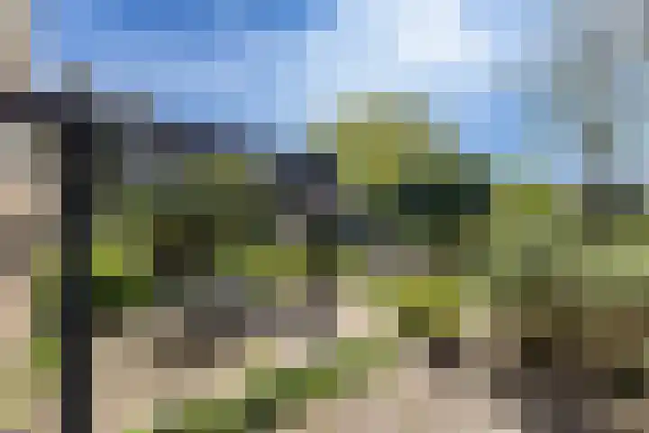 Burggravenlaan 38 Leiden thumbnail 21