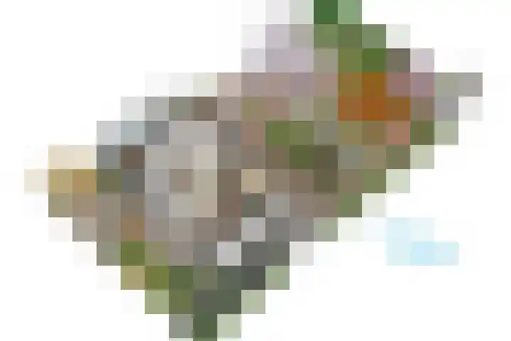 Burggravenlaan 38 Leiden thumbnail 68