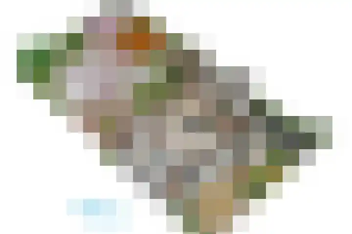 Burggravenlaan 38 Leiden thumbnail 69