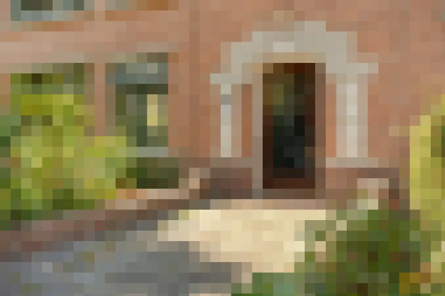 Burggravenlaan 39 Leiden thumbnail 7