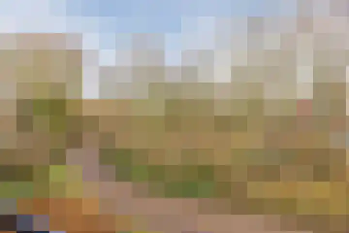 Burggravenlaan 40 Katwijk thumbnail 33