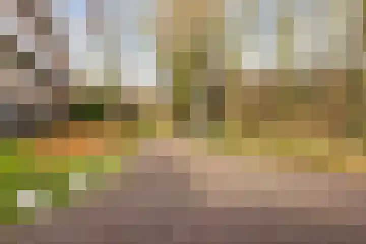 Burggravenlaan 40 Katwijk thumbnail 35