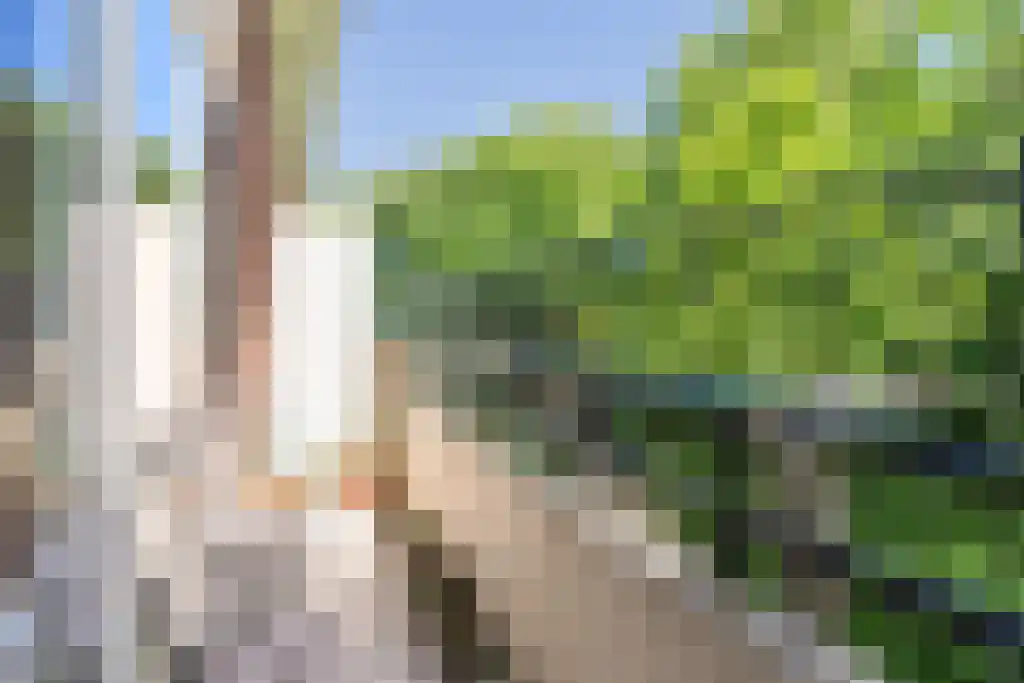 Burggravenlaan 41 Katwijk thumbnail 22