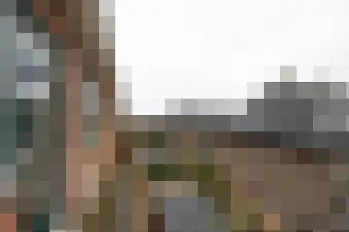 Burggravenlaan 87 Leiden thumbnail 14