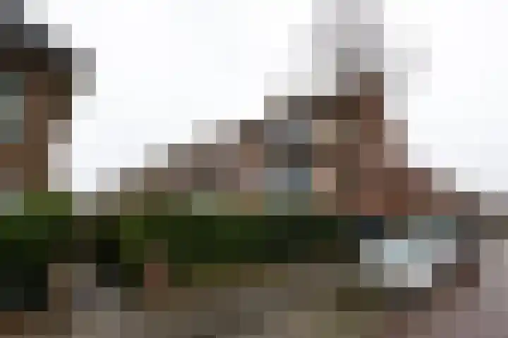 Burggravenlaan 87 Leiden thumbnail 23
