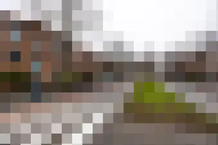 Burggravenlaan 87 Leiden thumbnail 25