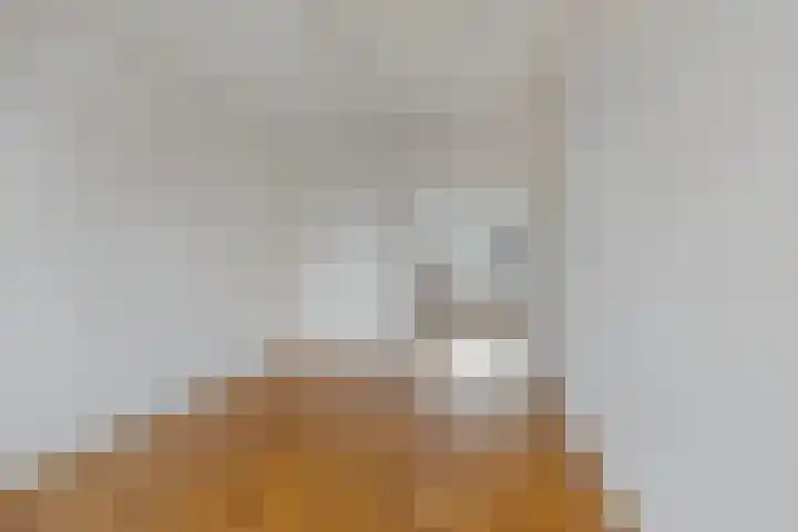 Burggravenlaan 87 Leiden thumbnail 6