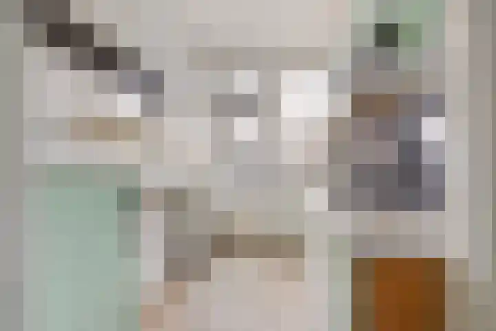 Burggravenlaan 87 Leiden thumbnail 7