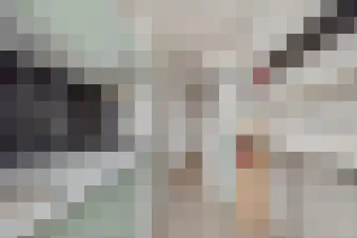 Burggravenlaan 87 Leiden thumbnail 8