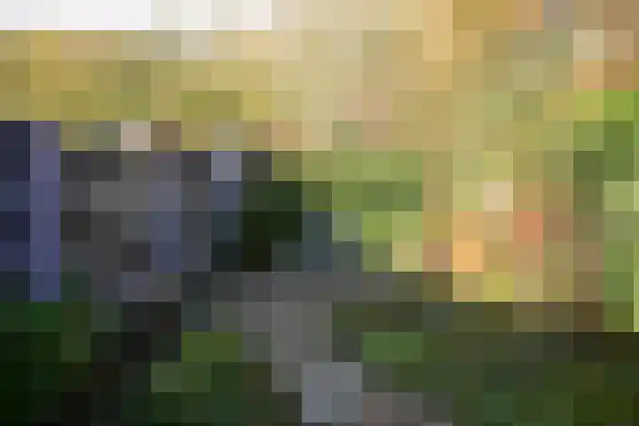 Burggraverhof 15 Gulpen thumbnail 25