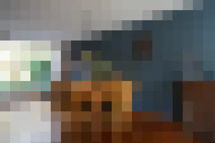 Burggraverhof 15 Gulpen thumbnail 7