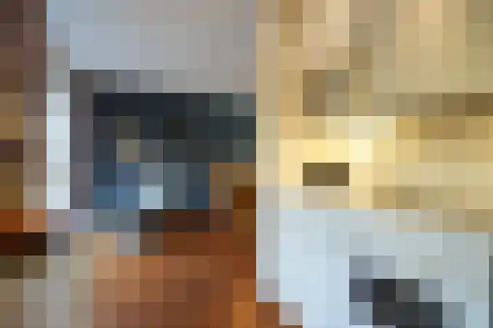 Burggraverhof 15 Gulpen thumbnail 9