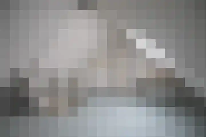Burggraverhof 7 Gulpen thumbnail 22