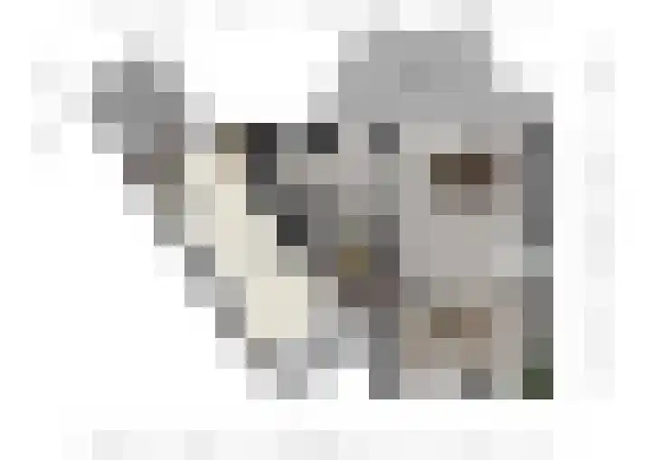 Burggraverhof 7 Gulpen thumbnail 30