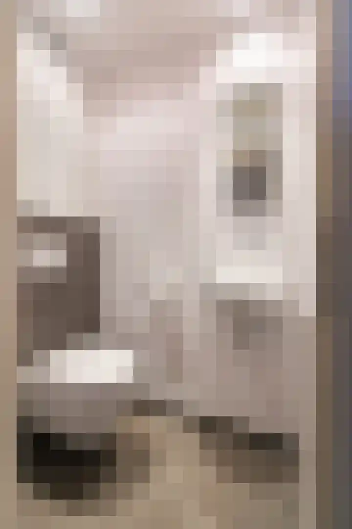 Burggraverhof 7 Gulpen thumbnail 6