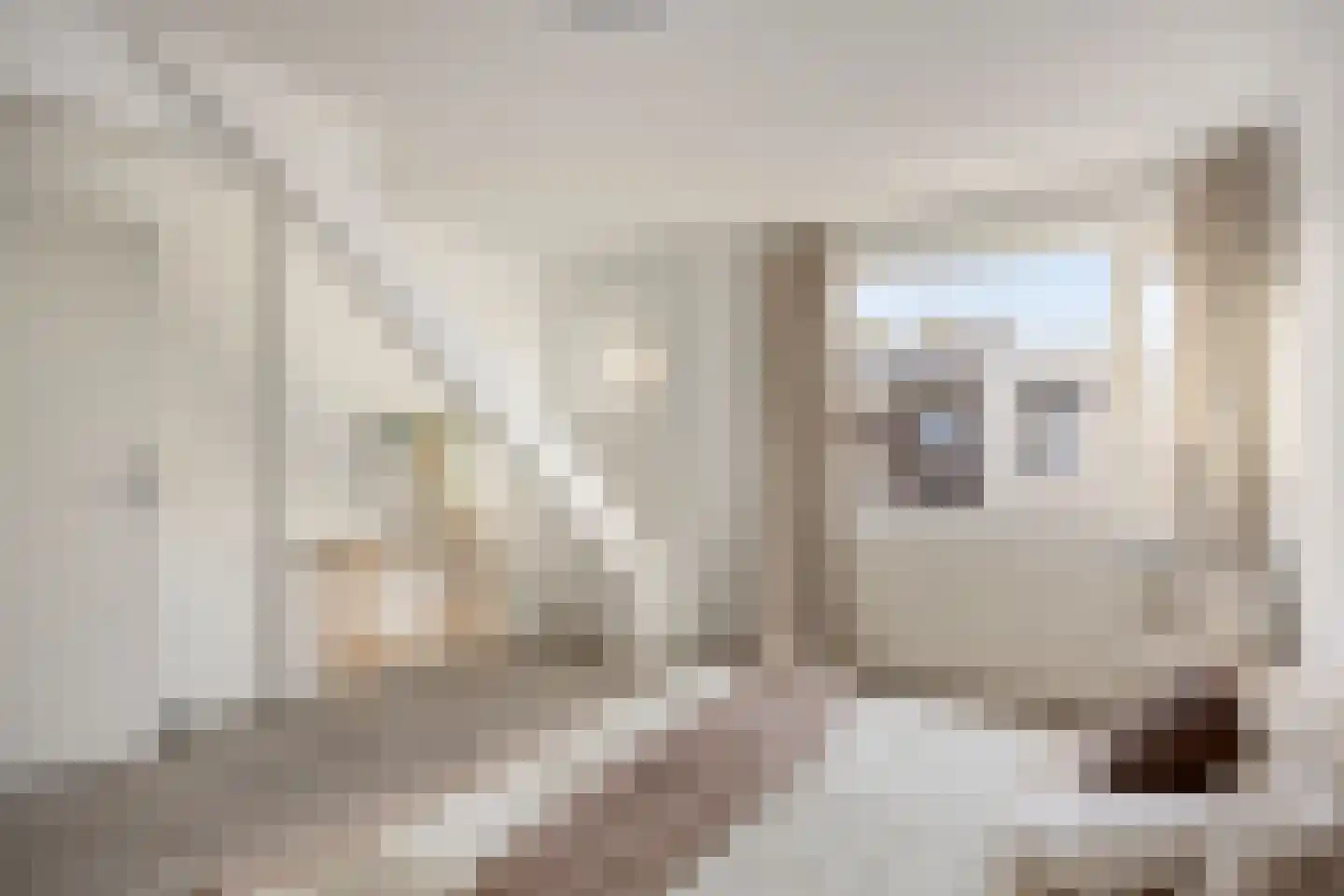 Burghardt van den Berghstraat 109 A Nijmegen thumbnail 20