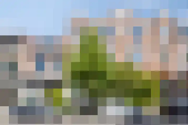 Burghardt van den Berghstraat 140 Nijmegen thumbnail 29