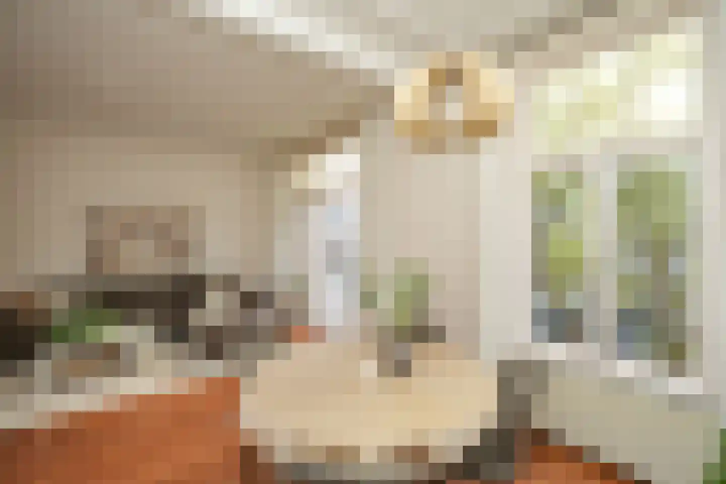 Burghardt van den Berghstraat 30 Nijmegen thumbnail 5