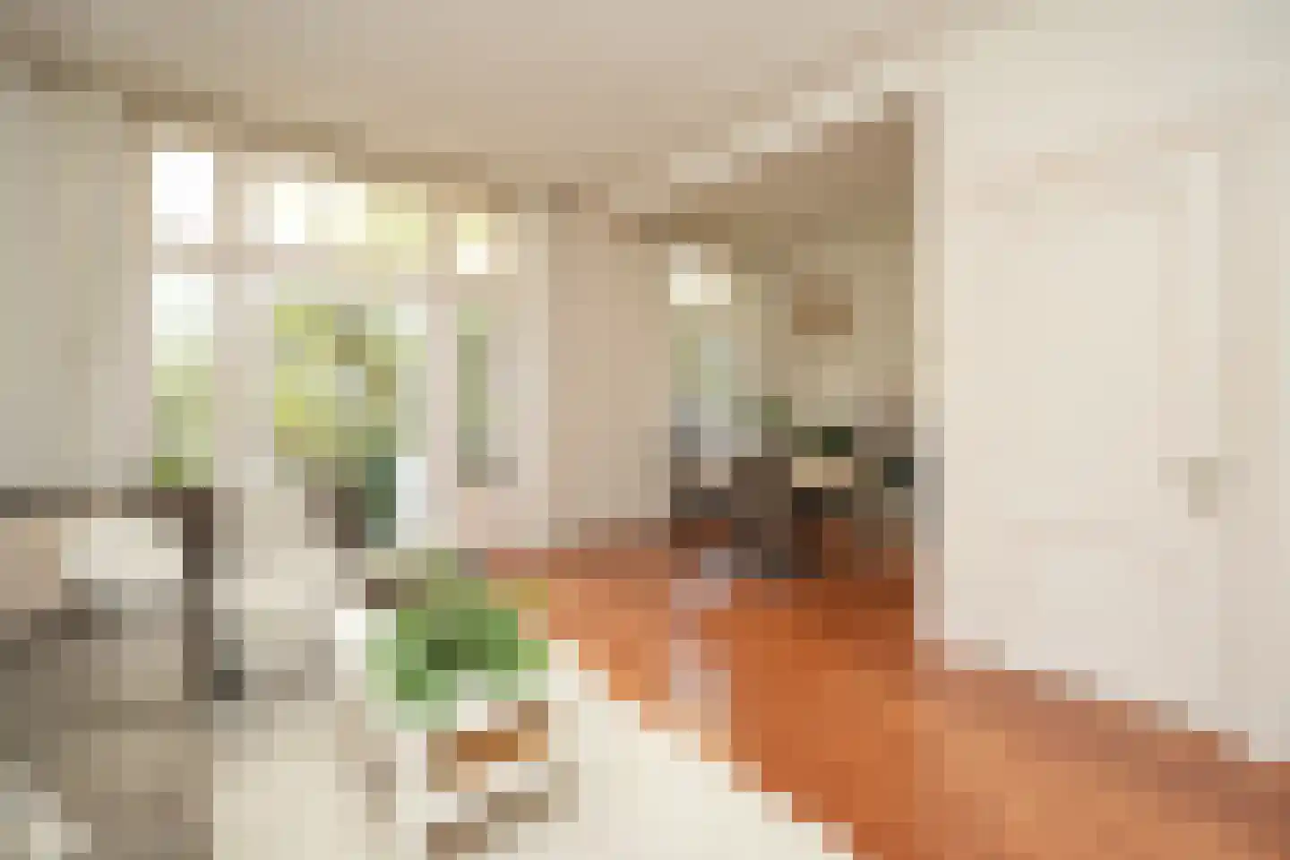 Burghardt van den Berghstraat 30 Nijmegen thumbnail 6