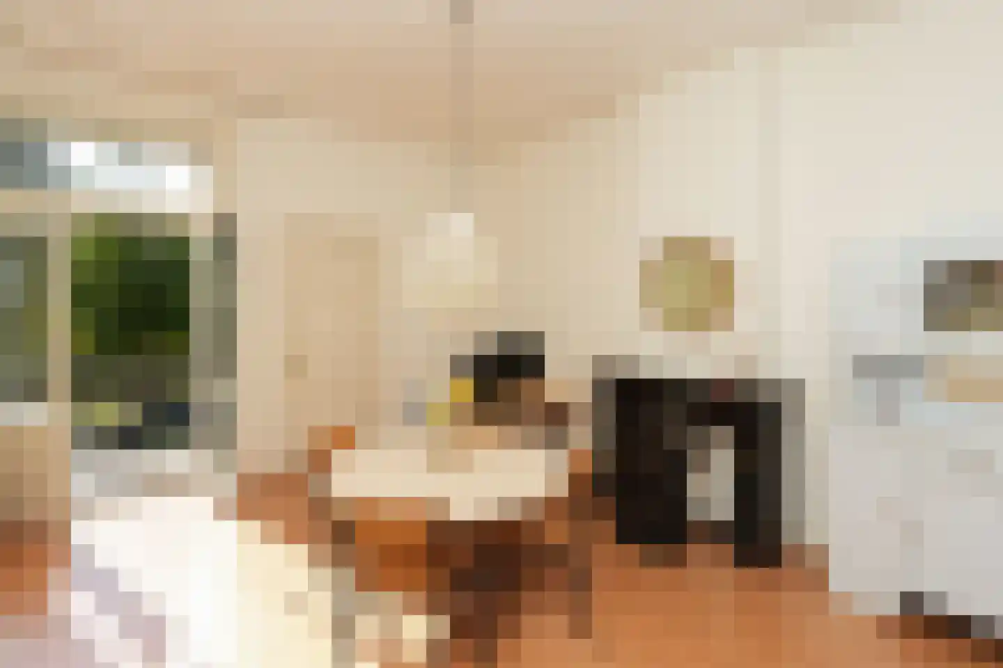 Burghardt van den Berghstraat 45 Nijmegen thumbnail 18