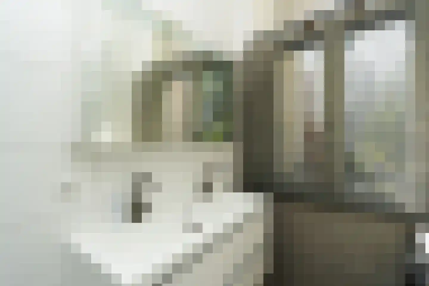 Burghardt van den Berghstraat 45 Nijmegen thumbnail 33