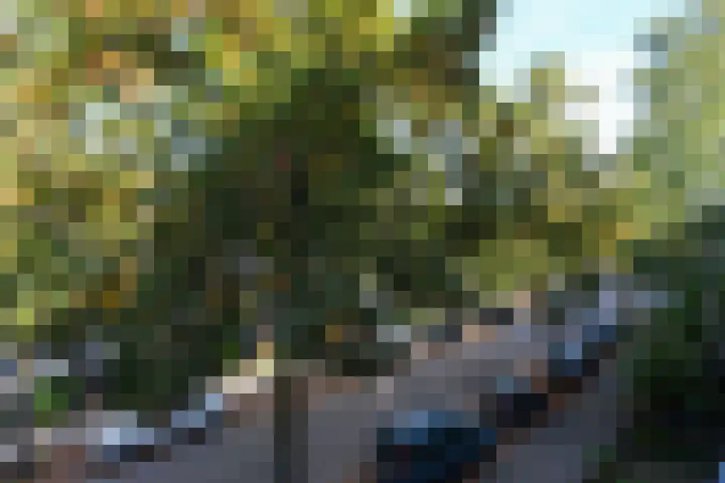Burghardt van den Berghstraat 45 Nijmegen thumbnail 45