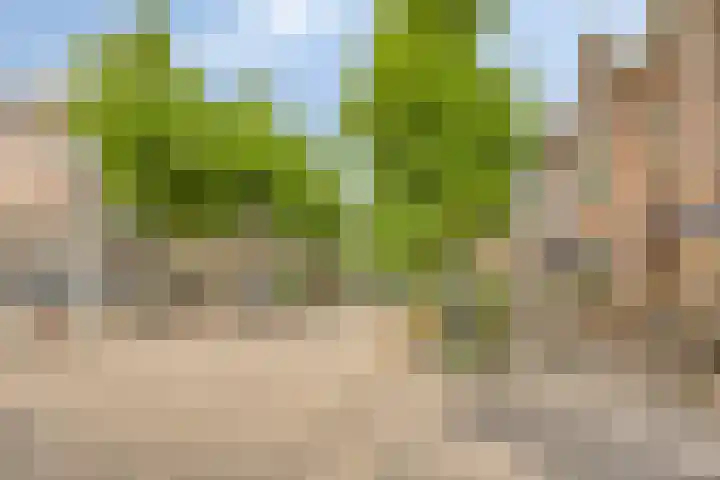 Burghardt van den Berghstraat 66 Nijmegen thumbnail 38