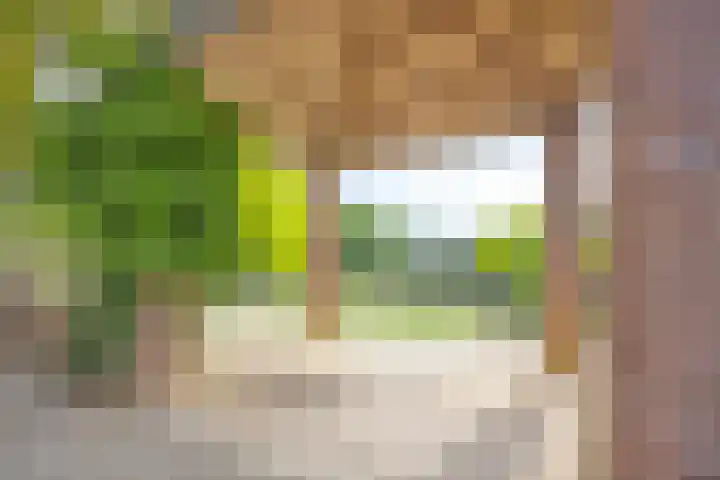 Burghardt van den Berghstraat 66 Nijmegen thumbnail 39