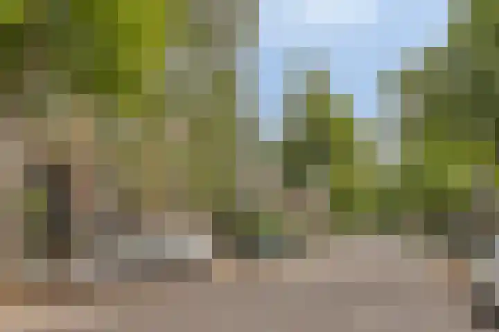 Burghardt van den Berghstraat 66 Nijmegen thumbnail 4