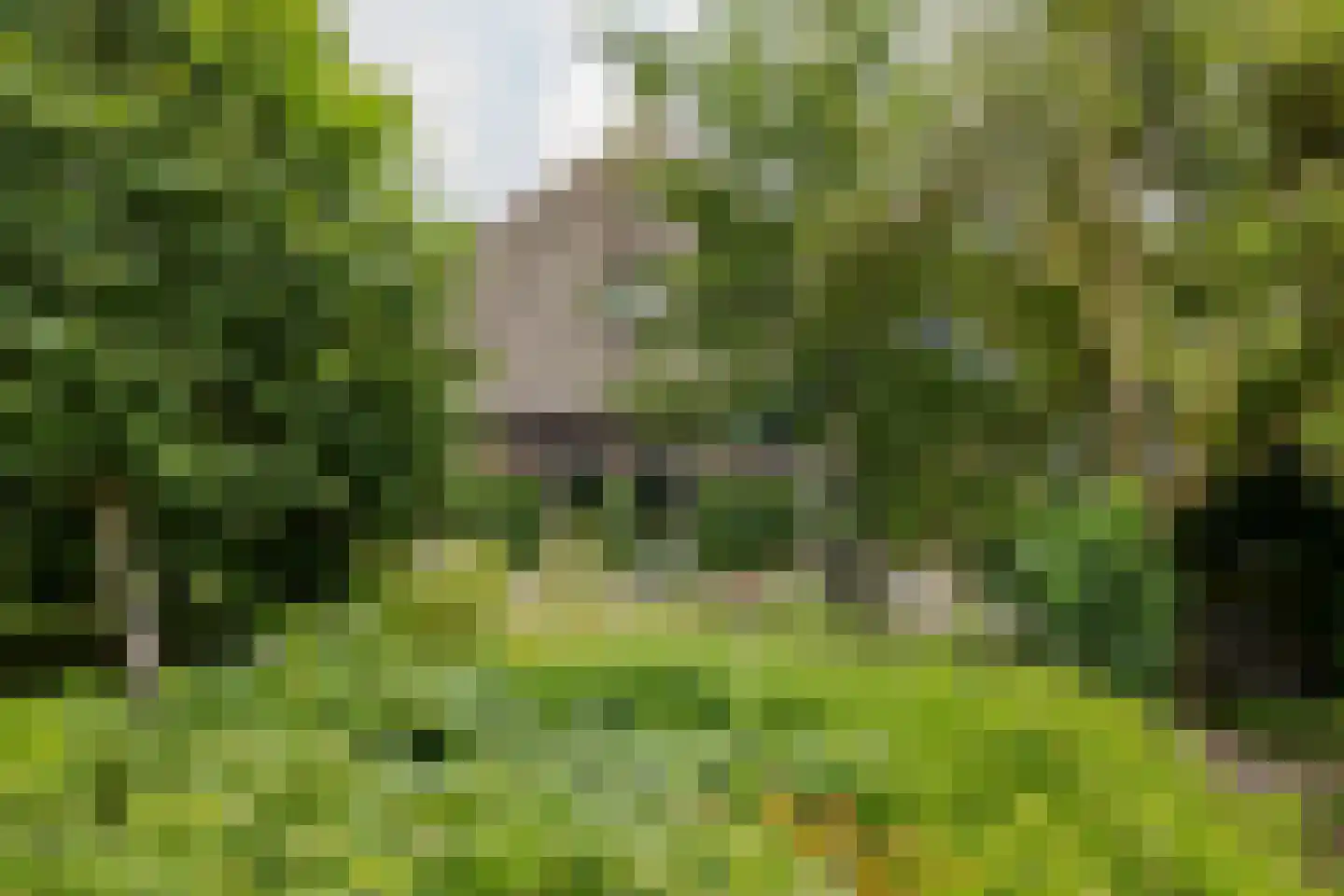 Burghornerweg 2 B Schagen thumbnail 26