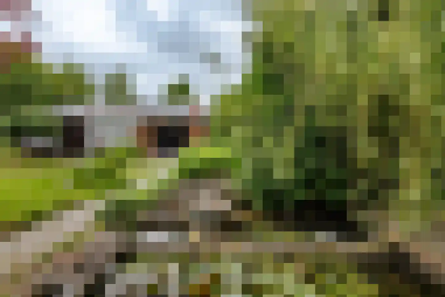 Burghornerweg 2 B Schagen thumbnail 33