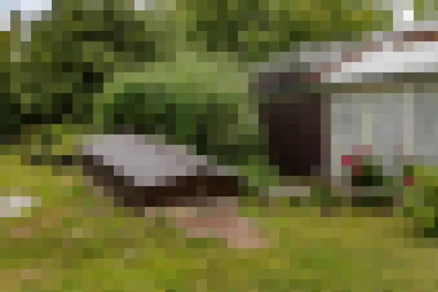 Burghornerweg 2 B Schagen thumbnail 36