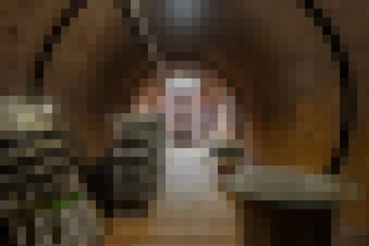 Burghornerweg 2 B Schagen thumbnail 37
